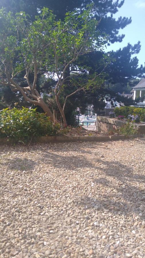 Appartement Sur Le Port, 105M Rez De Jardin Avec Parc Privatif Saint-Valery-en-Caux Exteriör bild